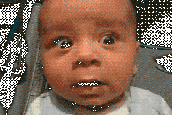 volby.gif - 